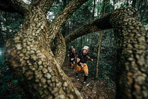 BIB: 
                            <button type="button" onclick="openModal(25393931)" class="btn btn-primary btn-sm float-right btn-popup" data-toggle="modal" data-target=".modal-high-quality">
                        <i class="fas fa-shopping-cart"></i> Add to Cart
                    </button>
                                            <button type="button" onclick="isThisMe(25393931, true)" class="btn btn-success btn-sm float-right btn-popup btn-isme hidden" data-toggle="tooltip" data-placement="bottom" title="นี่คือรูปของคุณใช่ไหม คลิกที่นี่เพื่อเอาเข้าอัลบั้ม">
                        <i class="fas fa-plus"></i> Add to album
                    </button>
                    <button type="button" onclick="isThisMe(25393931, false)" class="btn btn-warning btn-sm float-right btn-popup btn-isnotme hidden">
                        <i class="fas fa-ban"></i> Remove from album
                    </button>